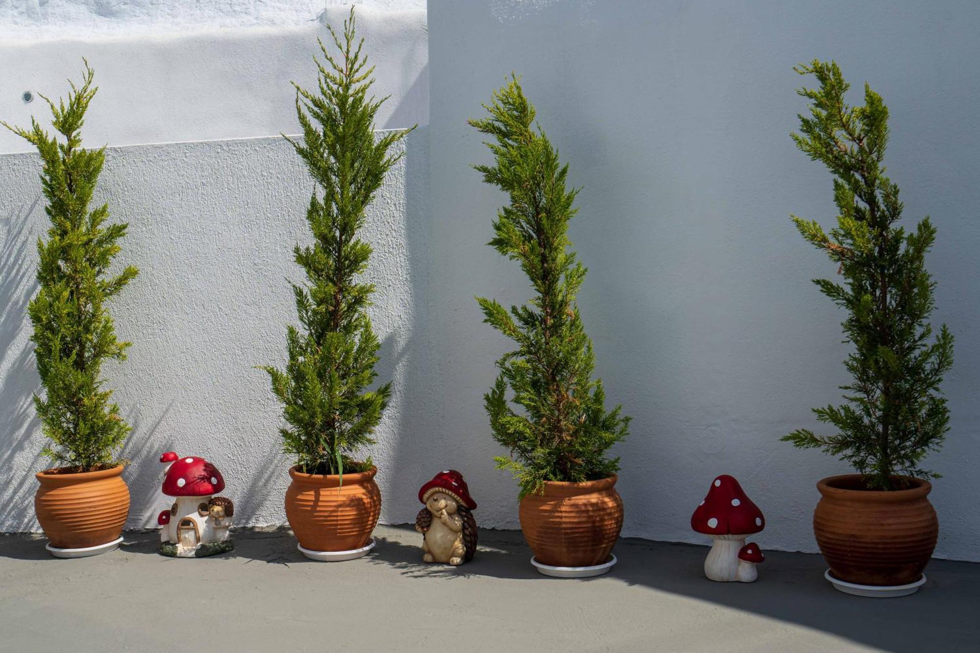Santorita Suites Akrotírion Екстериор снимка